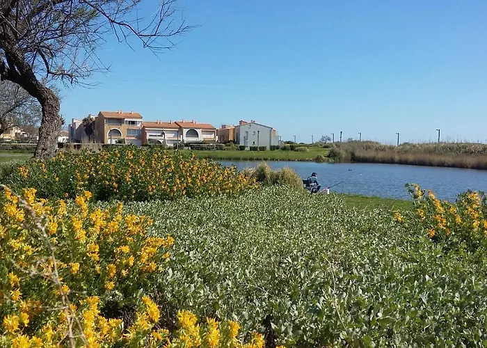 Daire 2 Pieces Vue Piscine Richelieu Cap D'agde *